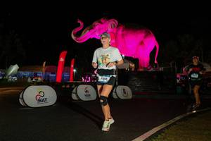 BIB: 
                            <button type="button" onclick="openModal(26542775)" class="btn btn-primary btn-sm float-right btn-popup" data-toggle="modal" data-target=".modal-high-quality">
                        <i class="fas fa-shopping-cart"></i> Add to Cart
                    </button>
                                            <button type="button" onclick="isThisMe(26542775, true)" class="btn btn-success btn-sm float-right btn-popup btn-isme hidden" data-toggle="tooltip" data-placement="bottom" title="นี่คือรูปของคุณใช่ไหม คลิกที่นี่เพื่อเอาเข้าอัลบั้ม">
                        <i class="fas fa-plus"></i> Add to album
                    </button>
                    <button type="button" onclick="isThisMe(26542775, false)" class="btn btn-warning btn-sm float-right btn-popup btn-isnotme hidden">
                        <i class="fas fa-ban"></i> Remove from album
                    </button>